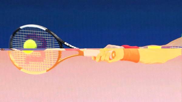 Турнир ATP в Вашингтоне отменен из-за пандемии и ограничений на авиасообщение