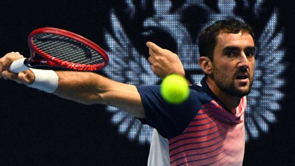 Чилич и Фритц сыграют в финале турнира в Санкт-Петербурге