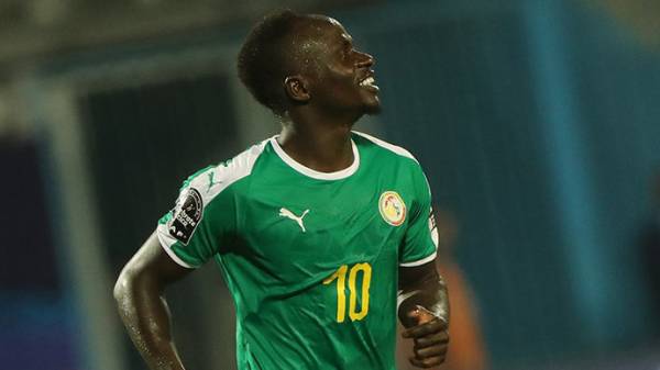 Игрокам сборной Сенегала подарили земельные участки за победу на Кубке Африки