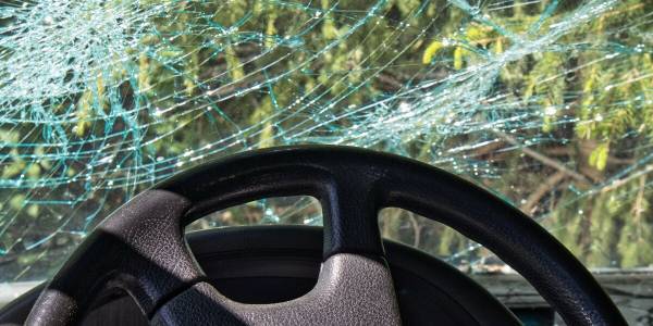 Баскетболист Спрыгин о ДТП: «Пытался увернуться от кошки на дороге, а меня объявили в федеральный розыск»